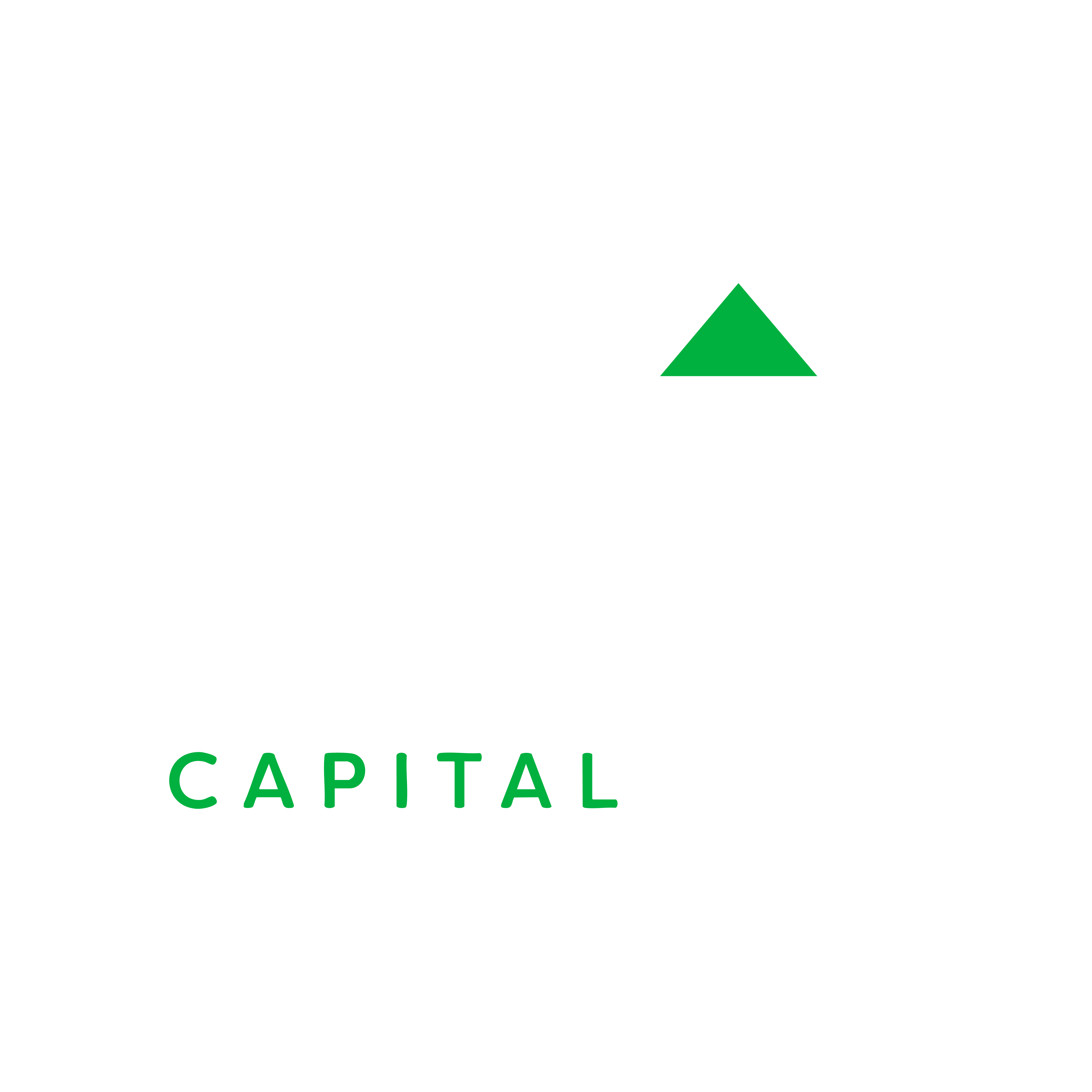 IFIN Capital